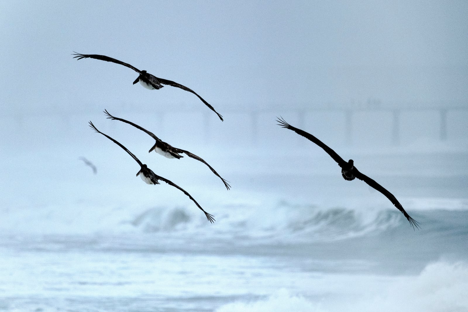 Birds fly past the Hermosa Beach Pier as storm surf pounds the beach on Tuesday, Dec. 24, 2024 in Manhattan Beach, Calif. (AP Photo/Richard Vogel)