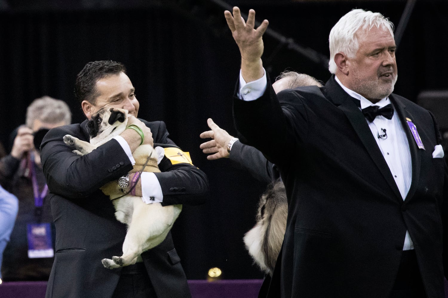 Photos: Westminster Dog Show 2018: Bichon frisé Flynn crowned best in show