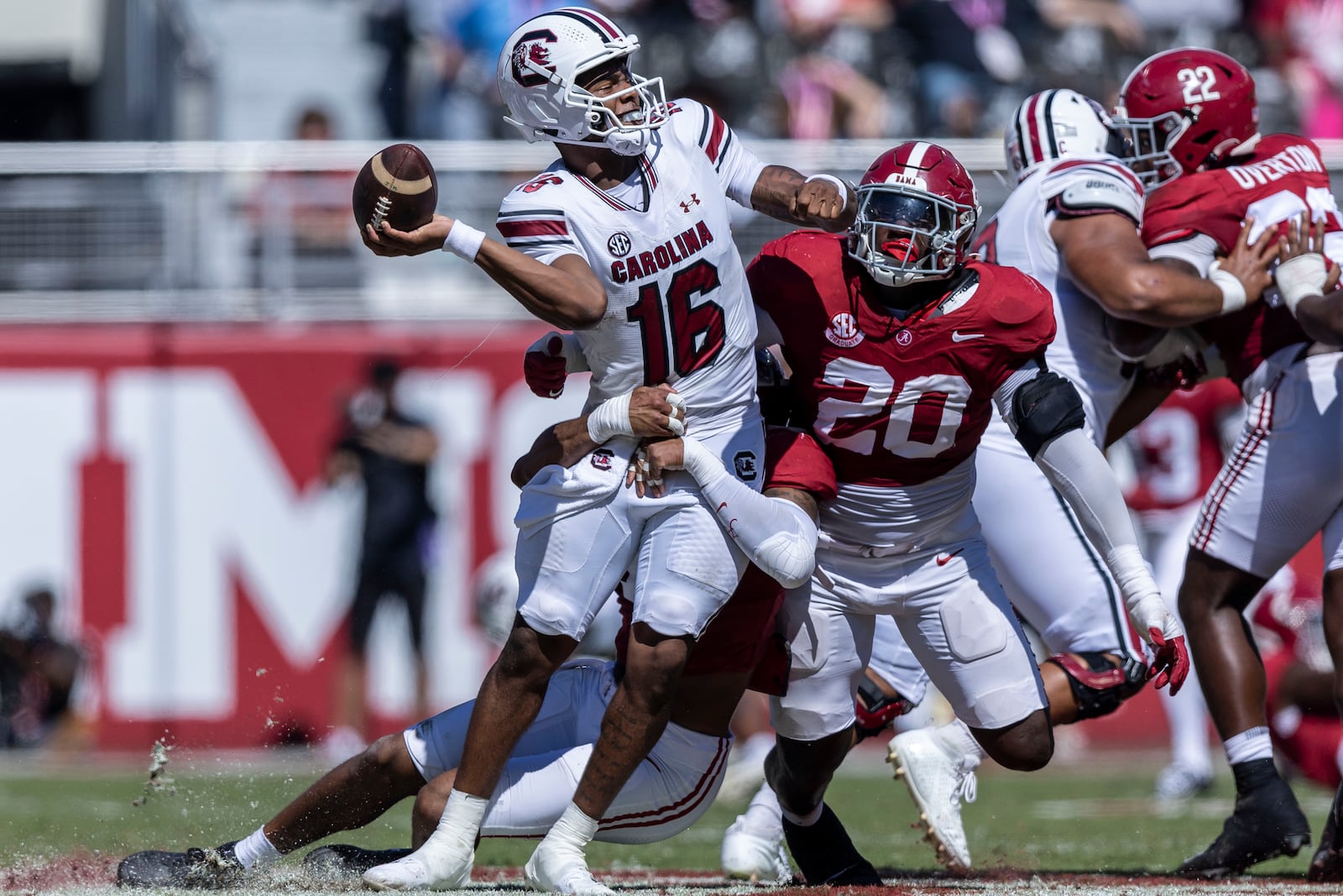 Alabama linebacker Jihaad Campbell hits South Carolina quarterback LaNorris Sellers (16) and forces a fumble during the first half of an NCAA college football game, Saturday, Oct. 12, 2024, in Tuscaloosa, Ala. Alabama recovered the fumble. (AP Photo/Vasha Hunt)