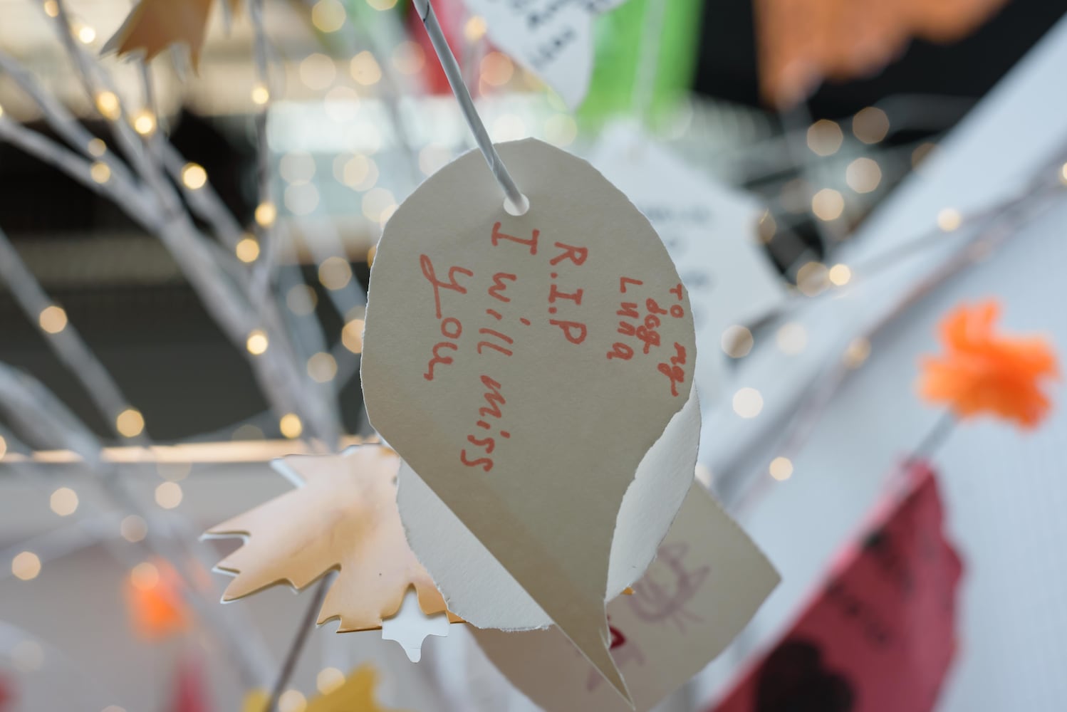 PHOTOS: 2024 Dayton Dia de los Muertos Celebration at Dayton Metro Library Main