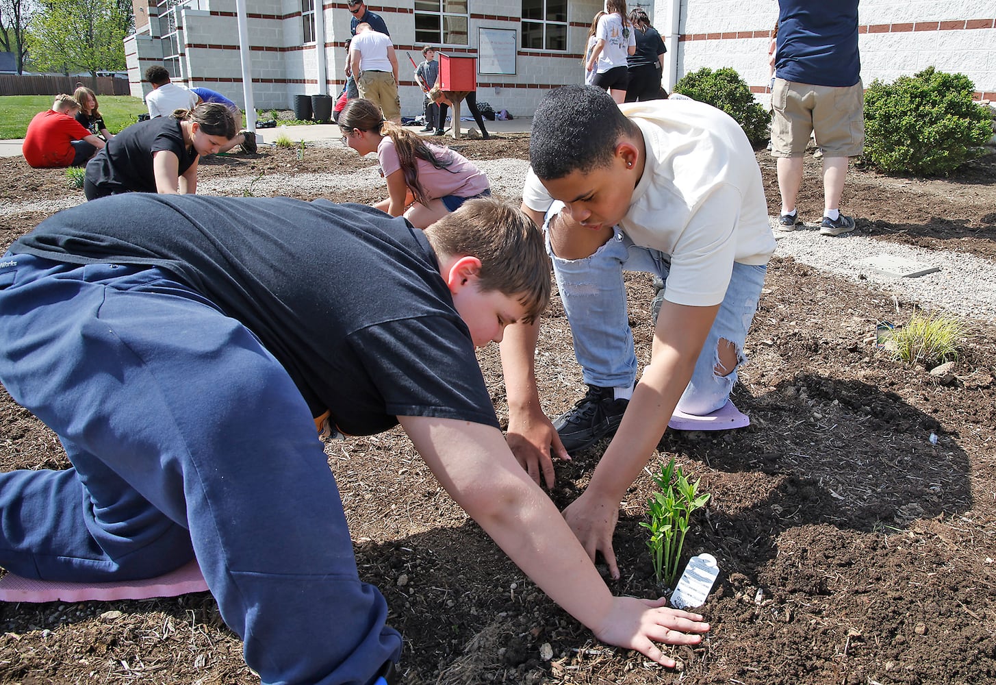 School Garden SNS