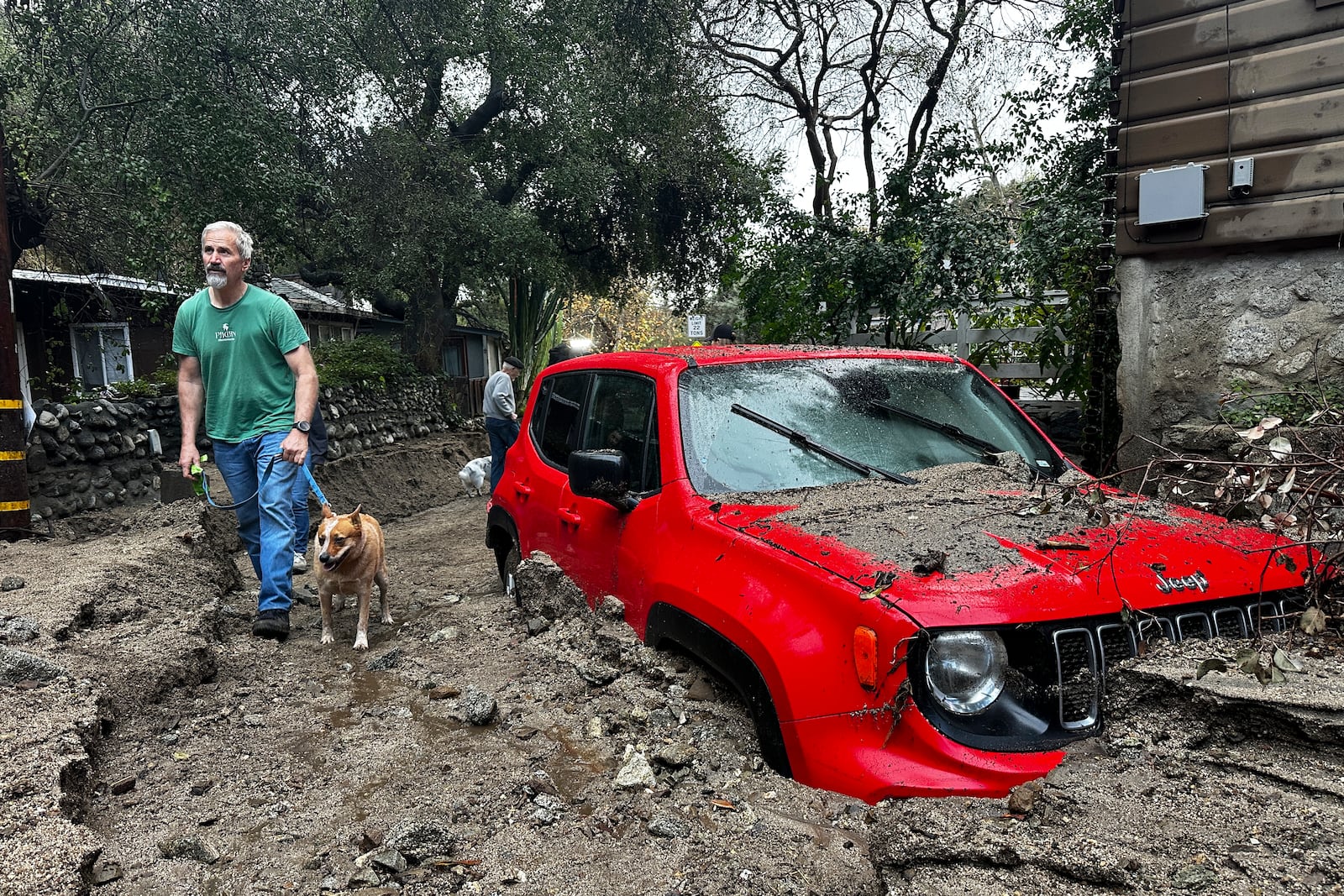 A resident and their dog walk past a vehicle partially submerged in mud after a storm Friday, Feb. 14, 2025, in Sierra Madre, Calif. (AP Photo/Eugene Garcia)