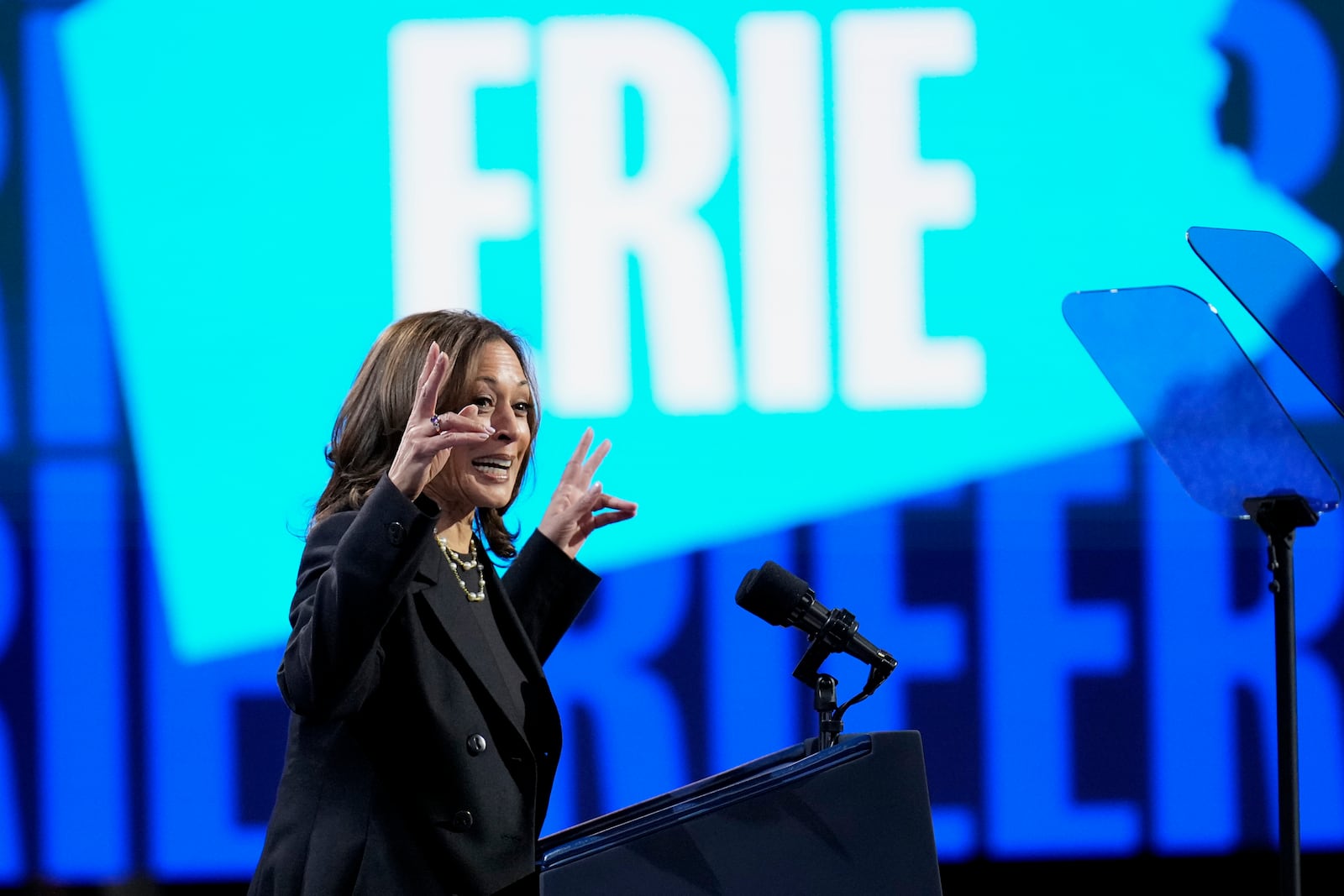 Democratic presidential nominee Vice President Kamala Harris speaks during a campaign rally at Erie Insurance Arena, in Erie, Pa., Monday, Oct. 14, 2024. (AP Photo/Jacquelyn Martin)