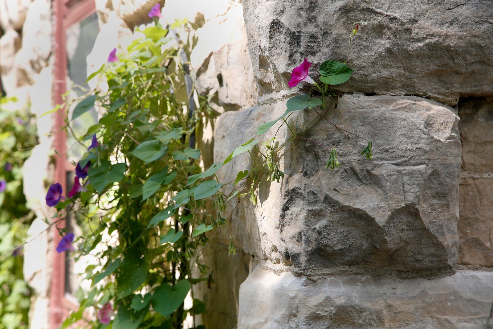 The supporting walls of the Piatt castles are made of limestone, two-feet-thick, that was quarried from the Logan County land. LISA POWELL / STAFF