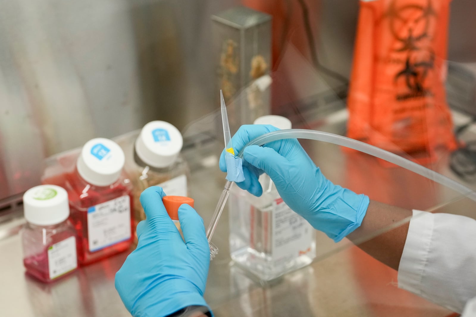 A student performs tests in Duke University pharmacology and cancer biology professor Donald McDonnell's lab Tuesday, March 4, 2025, in Durham, N.C. (AP Photo/Chris Carlson)