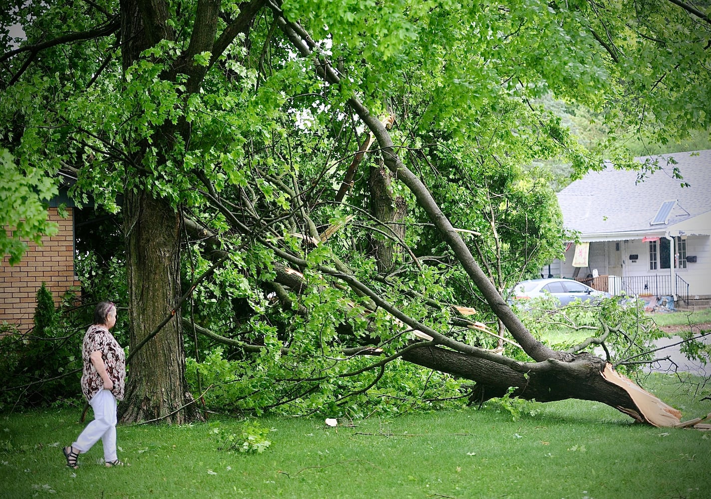 Springfield storm damage