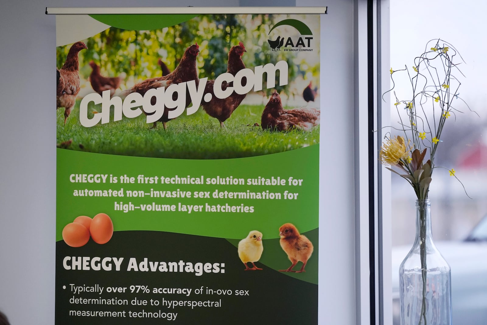 A display board for the CHEGGY machine, an SUV-sized machine that can separate eggs by sex, is displayed before a demonstration at the Hy-Line hatchery, Tuesday, Dec. 10, 2024, in Wilton, Iowa. (AP Photo/Charlie Neibergall)