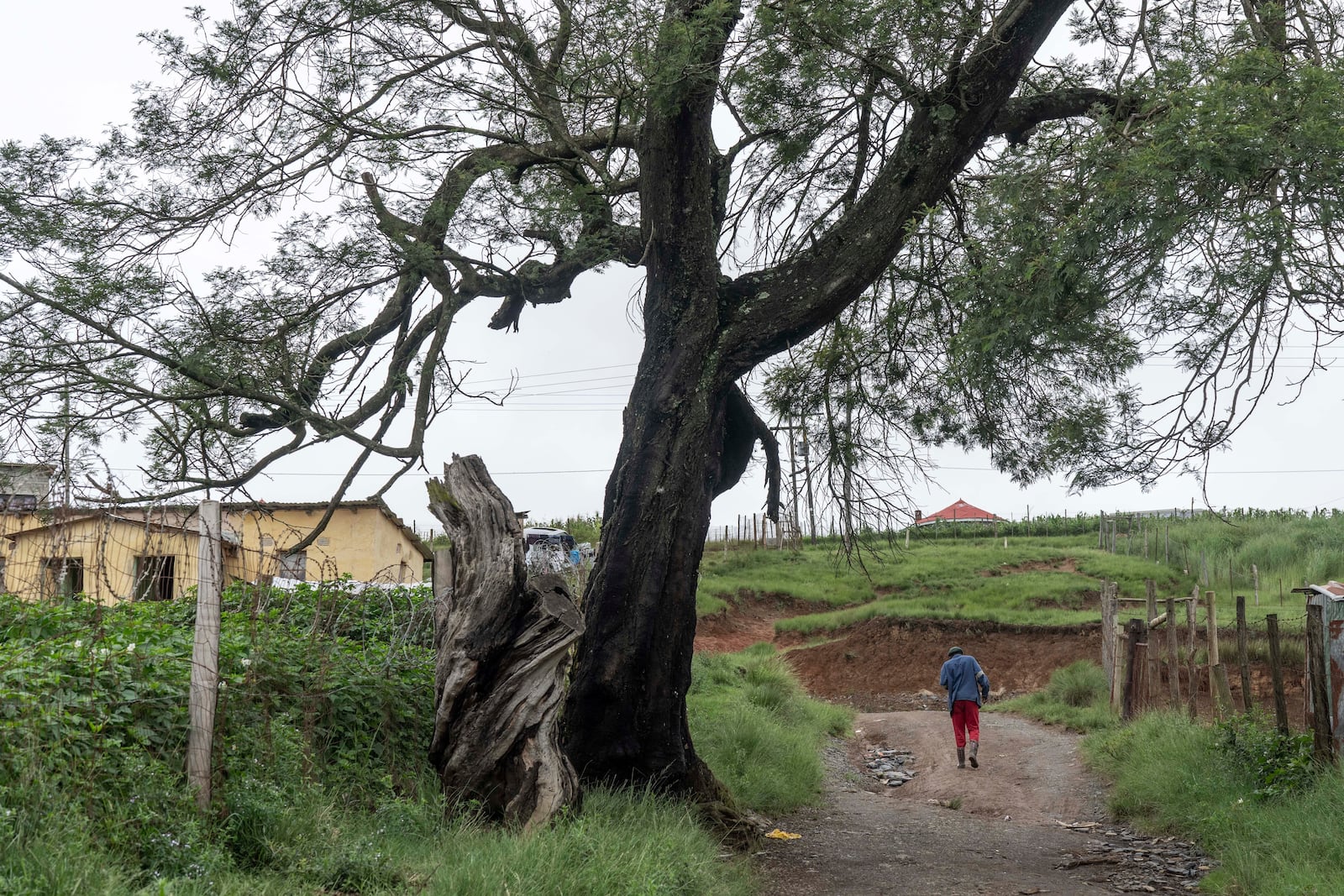 A Man walks in Umzimkhulu, KwaZulu Latal, Tuesday, Nov. 11, 2025, where millions of patients in South Africa could be affected by U.S. President Donald Trump's global foreign aid freeze, raising worries about HIV patients defaulting on treatment. (AP Photo/Jerome Delay}