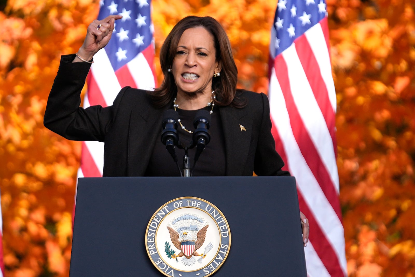 Democratic presidential nominee Vice President Kamala Harris speaks at a campaign rally in Riverside Park, Friday, Oct. 18, 2024, in Grand Rapids, Mich. (AP Photo/Paul Sancya)