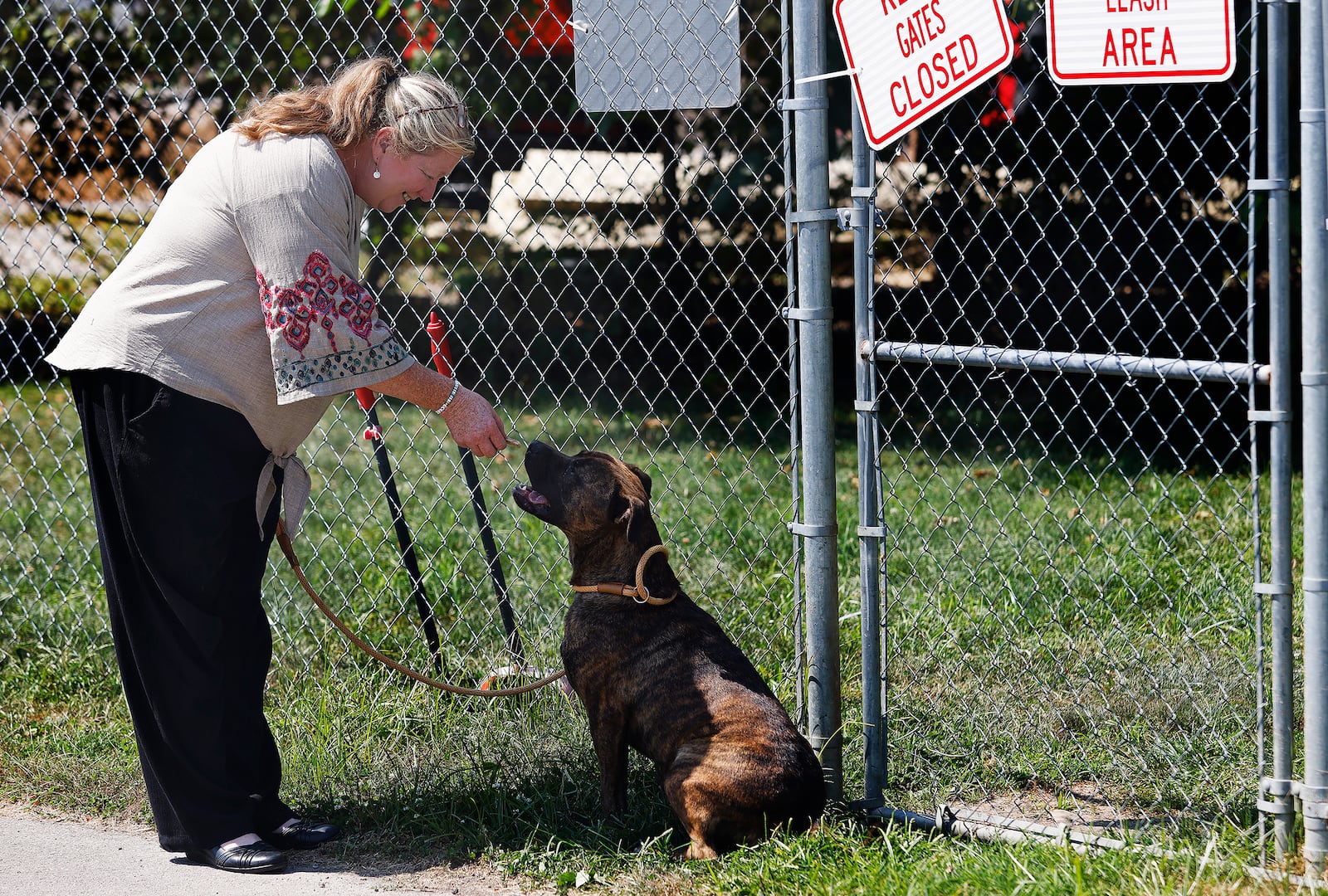 Julie Holmes-Taylor, Director of the Greene County Animal Control, spends time outside with Jager, Wednesday, Aug. 28, 2024. Jaeger is one of several dogs up for adoption at the shelter. MARSHALL GORBY\STAFF