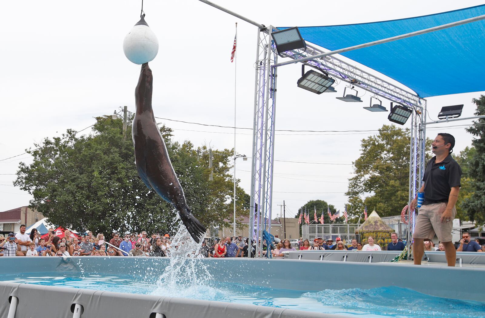 A sea lion leaps into the air to touch a ball hanging over one of the pools Sunday, July 21, 2024 during the sea lion show at the Clark County Fair. BILL LACKEY/STAFF