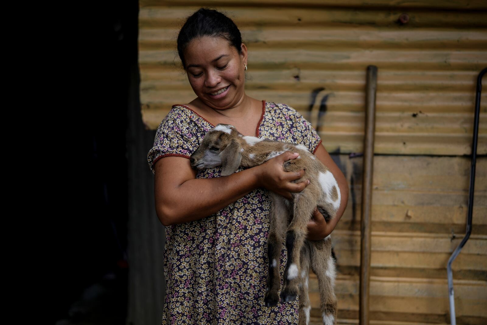 An Indigenous woman from the Wayuu community carries a little goat in the Somos Unidos neighborhood on the outskirts of Maicao, Colombia, Wednesday, Feb. 5, 2025. (AP Photo/Ivan Valencia)