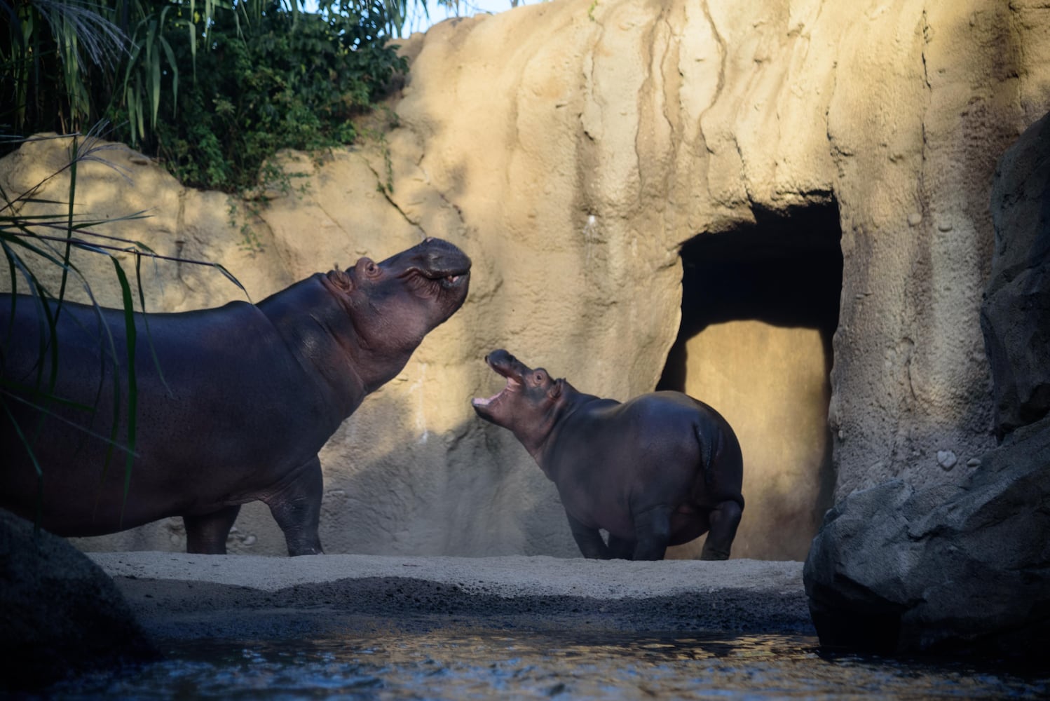 BEHIND THE SCENES: Take a look at what Fiona and Bibi are up to after hours