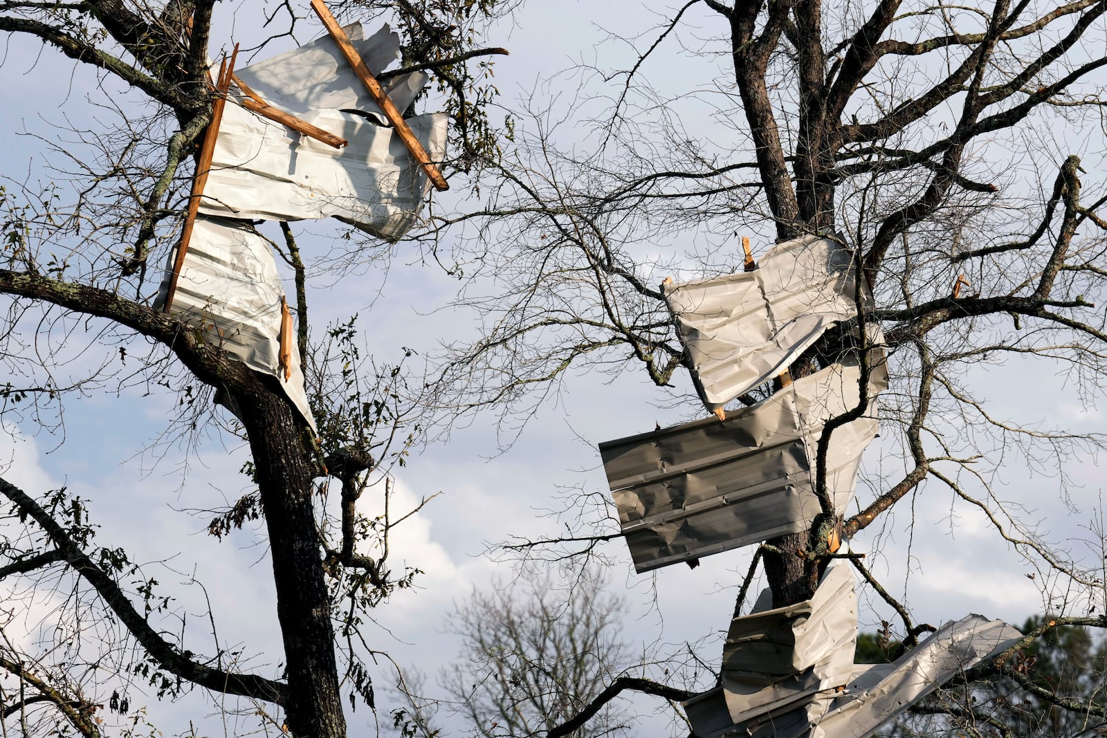 Metal roofing sheets are seen on trees after strong thunderstorms pass through the Greater Houston region, Saturday, Dec. 28, 2024, in Porter Heights. (Jason Fochtman/Houston Chronicle via AP)