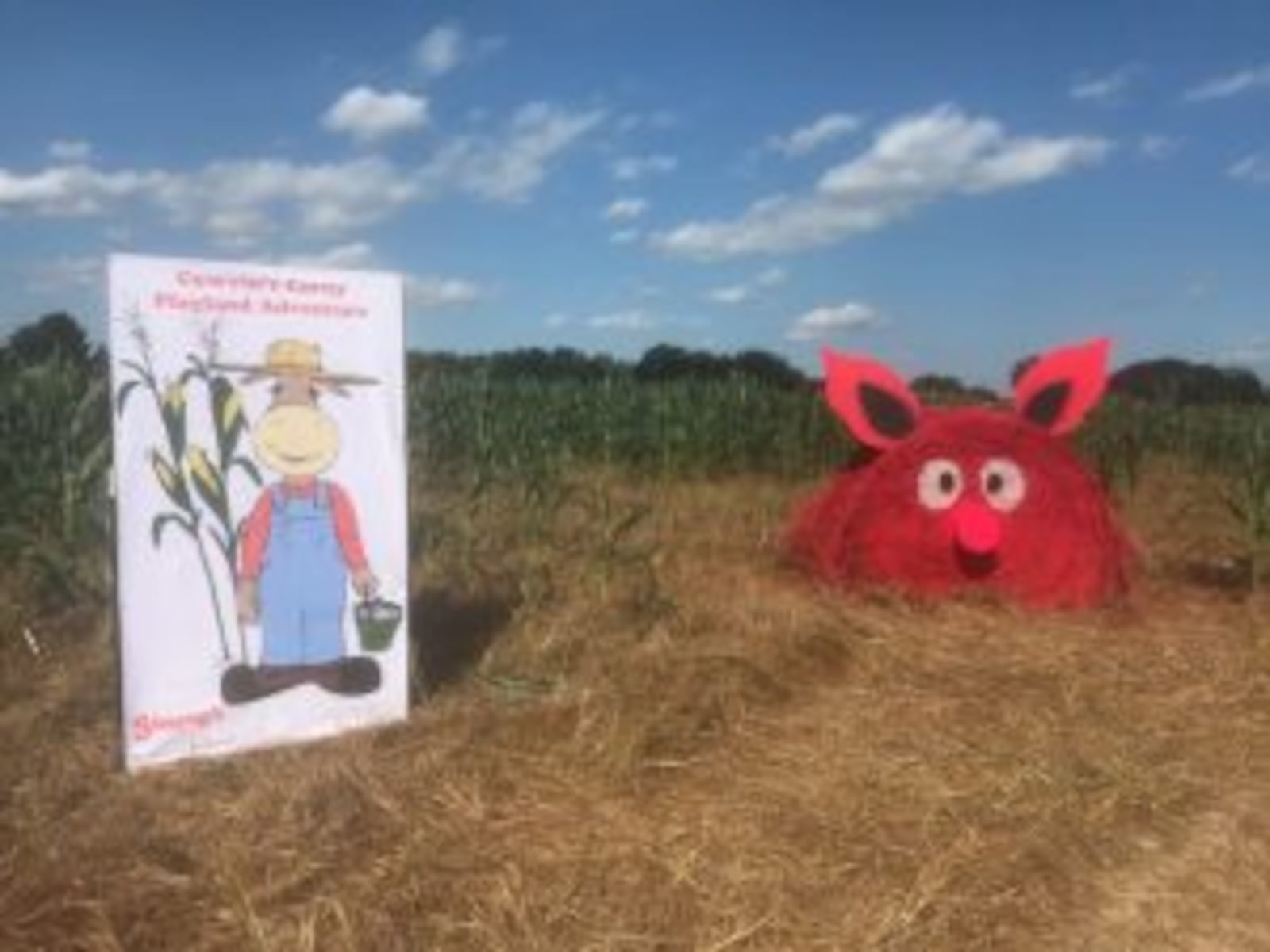 Extreme weather caused Young’s Jersey Dairy to transform its annual corn maze into a new outdoor play area.