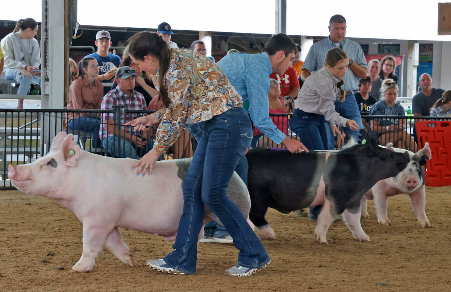 Champaign County Fair SNS