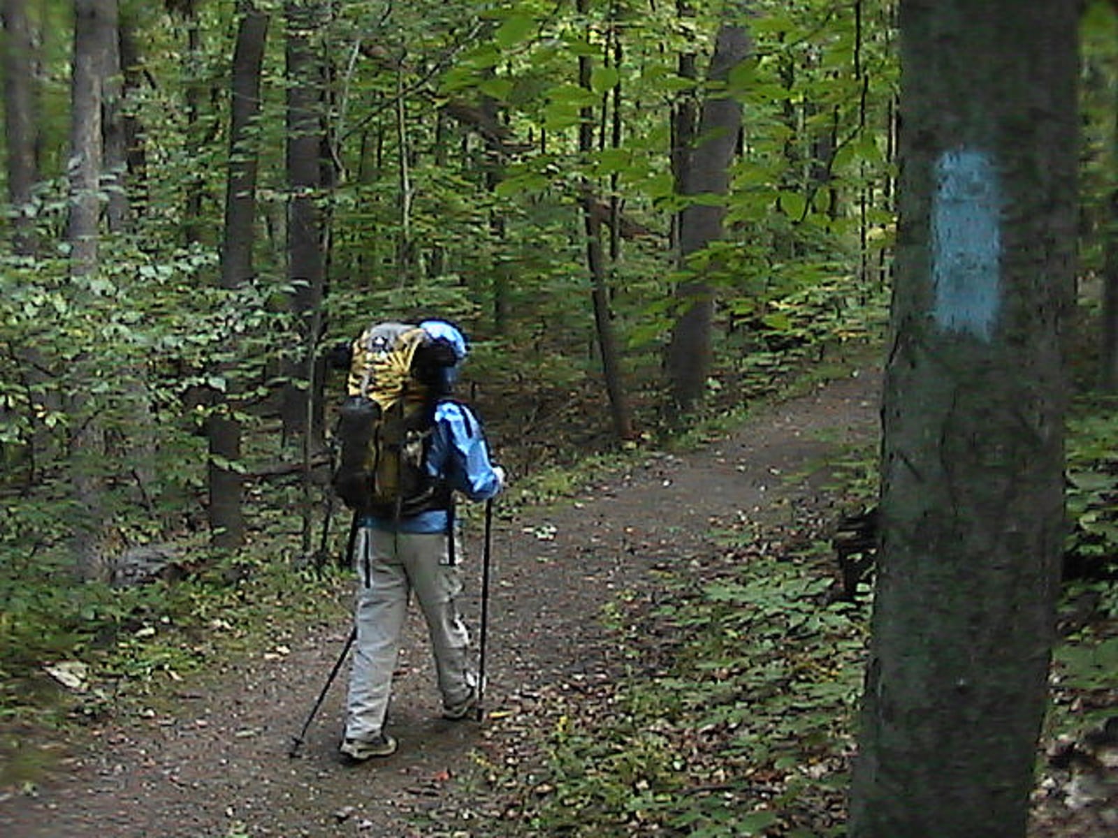 The Buckeye Trail — as it winds through Dayton and the rest of the state — is designated by a series of blue blazes. CONTRIBUTED