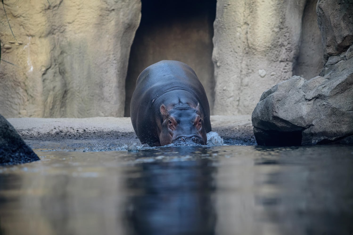 BEHIND THE SCENES: Take a look at what Fiona and Bibi are up to after hours