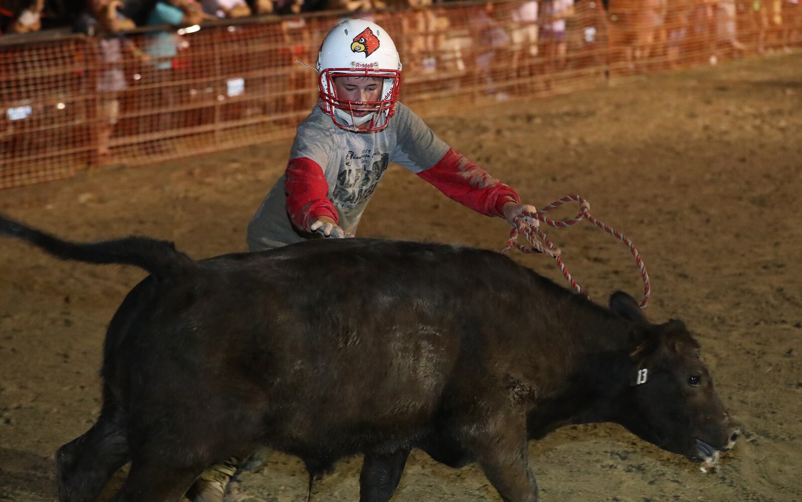 PHOTOS: Sunday at the Champaign County Fair