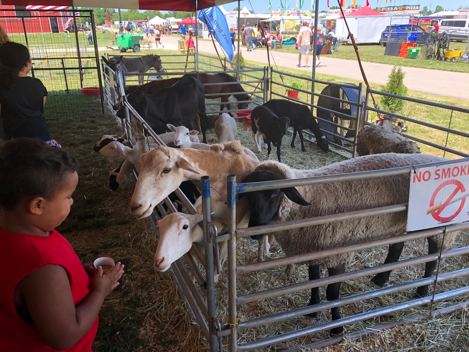 Scenes from the Montgomery County Fair on Sunday, July 10, 2022. Lynn Hulsey/STAFF