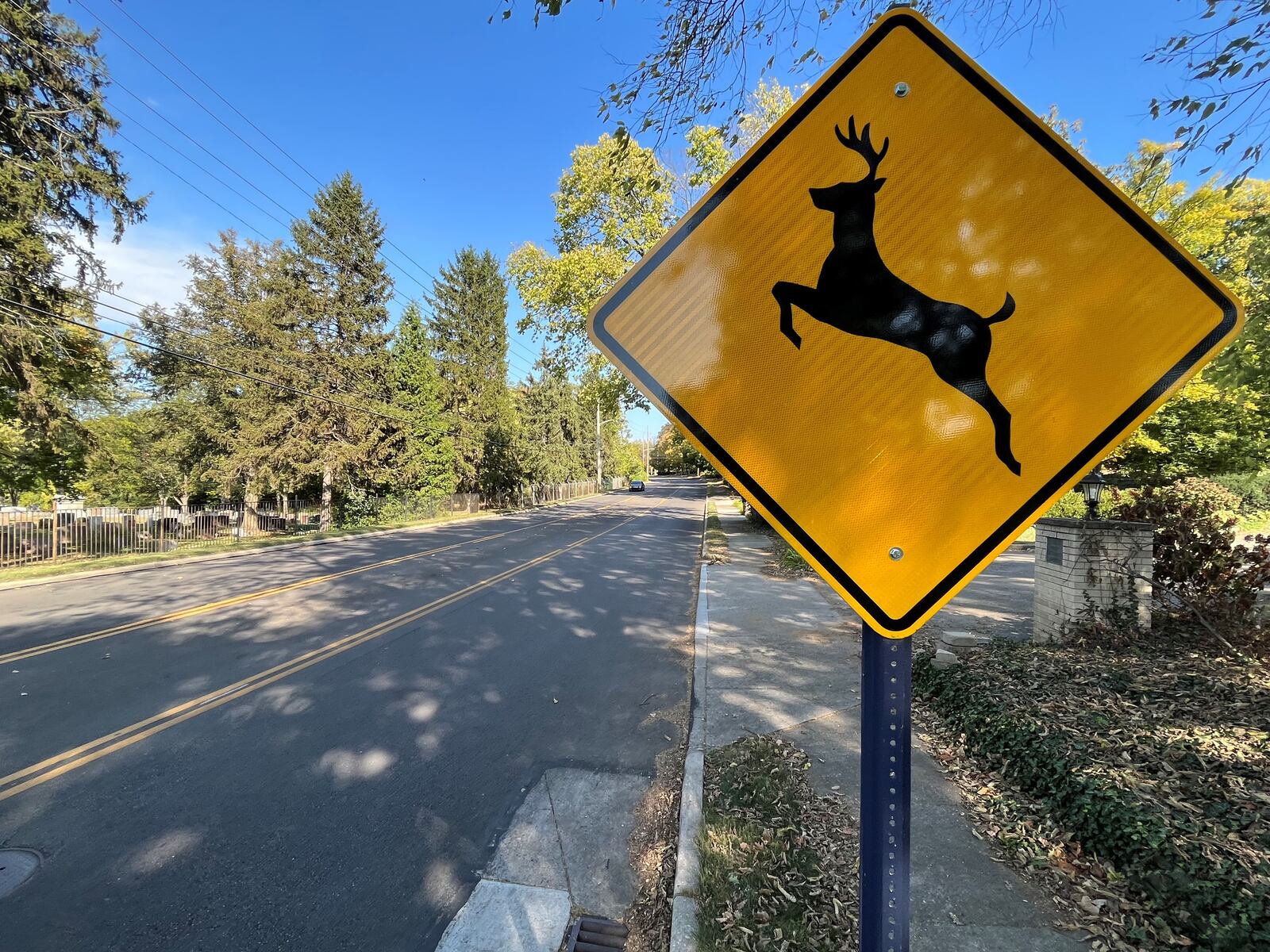 A deer caution sign near the Kettering and Oakwood border on West Schantz Avenue. CORNELIUS FROLIK / STAFF