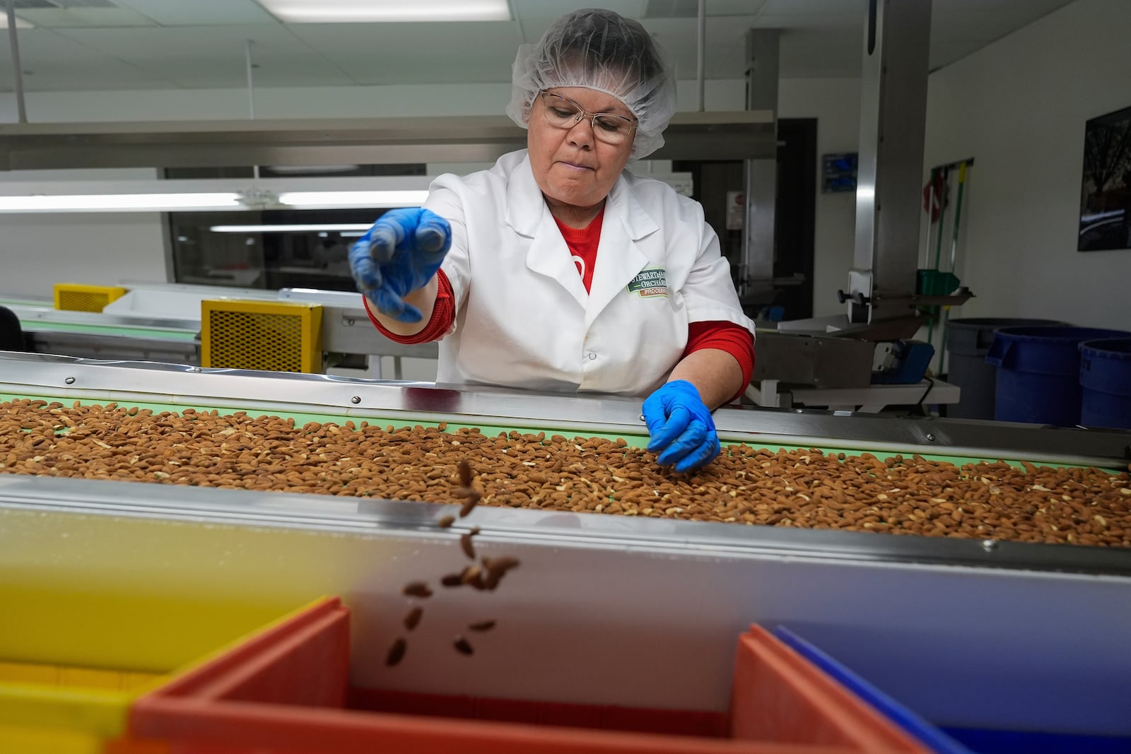 Manuela Plascencia tosses defective almonds while sorting by hand at Stewart and Jasper Orchards, Friday, March 7, 2025, in Newman, Calif. (AP Photo/Godofredo A. Vásquez)