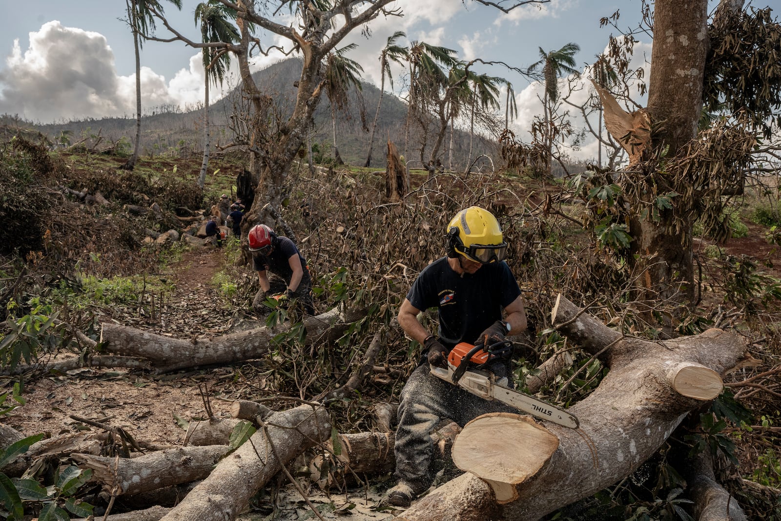 French civil security officers cut trees to open a road for heavy vehicles from Mayotte water authorities to repair water pipes in Mirereni, Mayotte, Friday, Dec. 20, 2024. (AP Photo/Adrienne Surprenant)