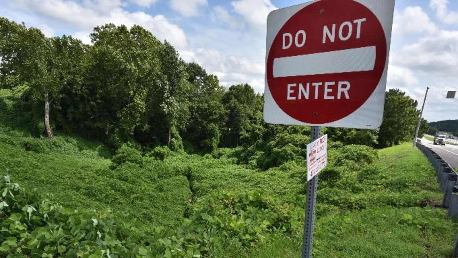 Kudzu is seemingly everywhere in the South. Everywhere, that is, but on the dinner plate.