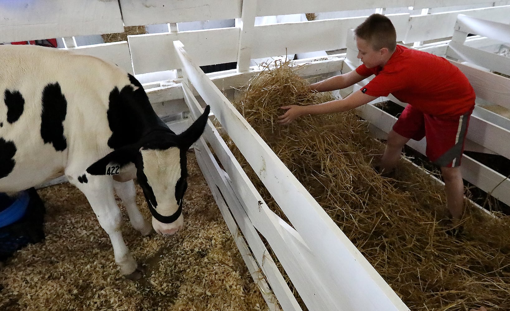 2018 Clark County Fair Opening Day