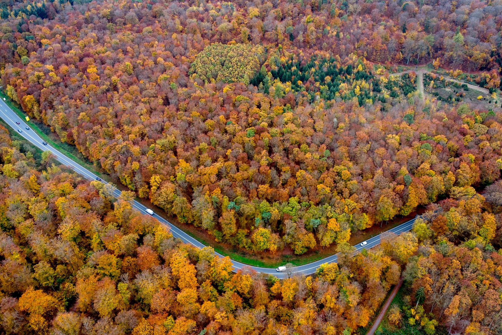 Traffic rolls through a colorful forest in the Taunus region in Usingen near Frankfurt, Germany, Friday, Nov. 1, 2024. (AP Photo/Michael Probst)