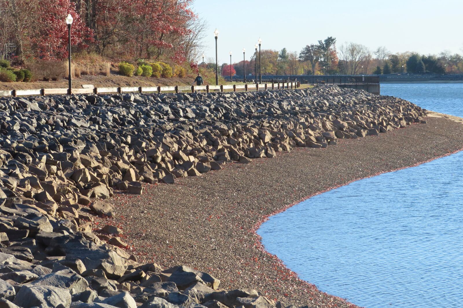 Water levels sit below normal at the Brick Reservoir in Brick N.J., on Tuesday, Nov. 12, 2024 amid record-breaking dry conditions in New Jersey. (AP Photo/Wayne Parry)