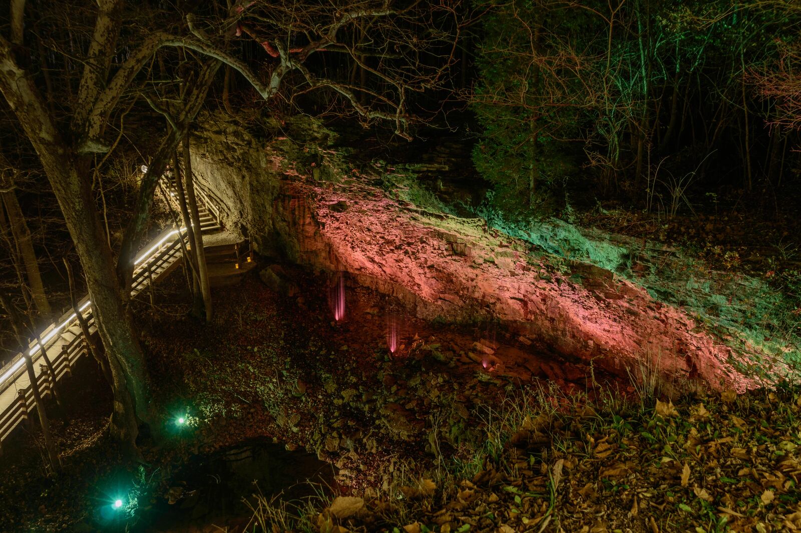 On Saturday, Dec. 3, Charleston Falls Preserve in Miami County hosted An Evening of LIghts. Attendees took a stroll down a luminary trail to the 37 foot tall lighted water falls followed by hot chocolate, children’s crafts, seasonal music and visit with Santa. TOM GILLIAM/CONTRIBUTING PHOTOGRAPHER