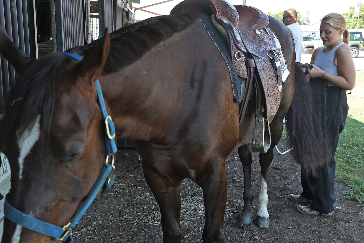 Clark County Fair