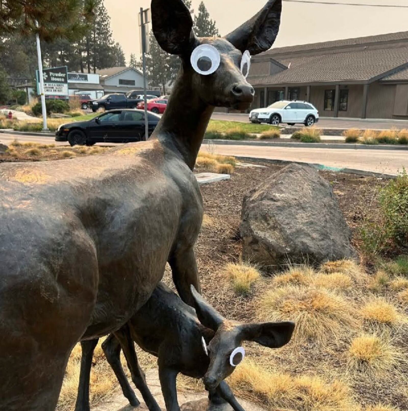 FILE - This image provided by the City of Bend, Ore., shows a a set of googly eyes placed on a public art sculpture in Bend. (City of Bend, Oregon, via AP, File)