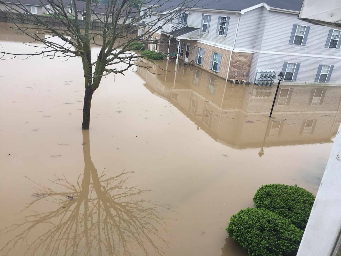 PHOTOS: Flooding in Champaign County