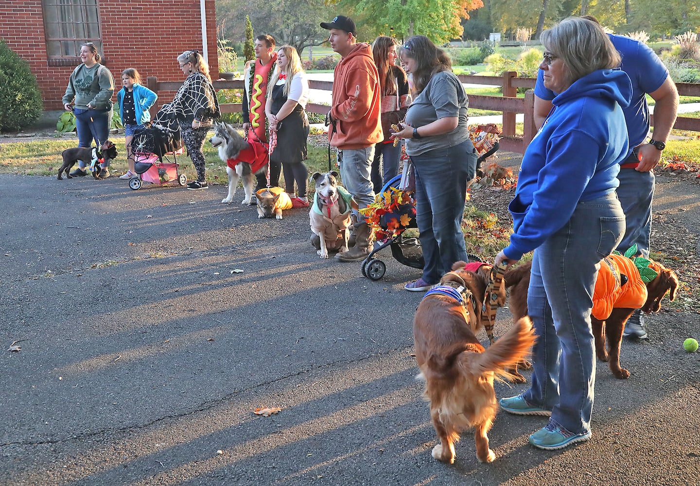 Yappy Howl-o-ween SNS