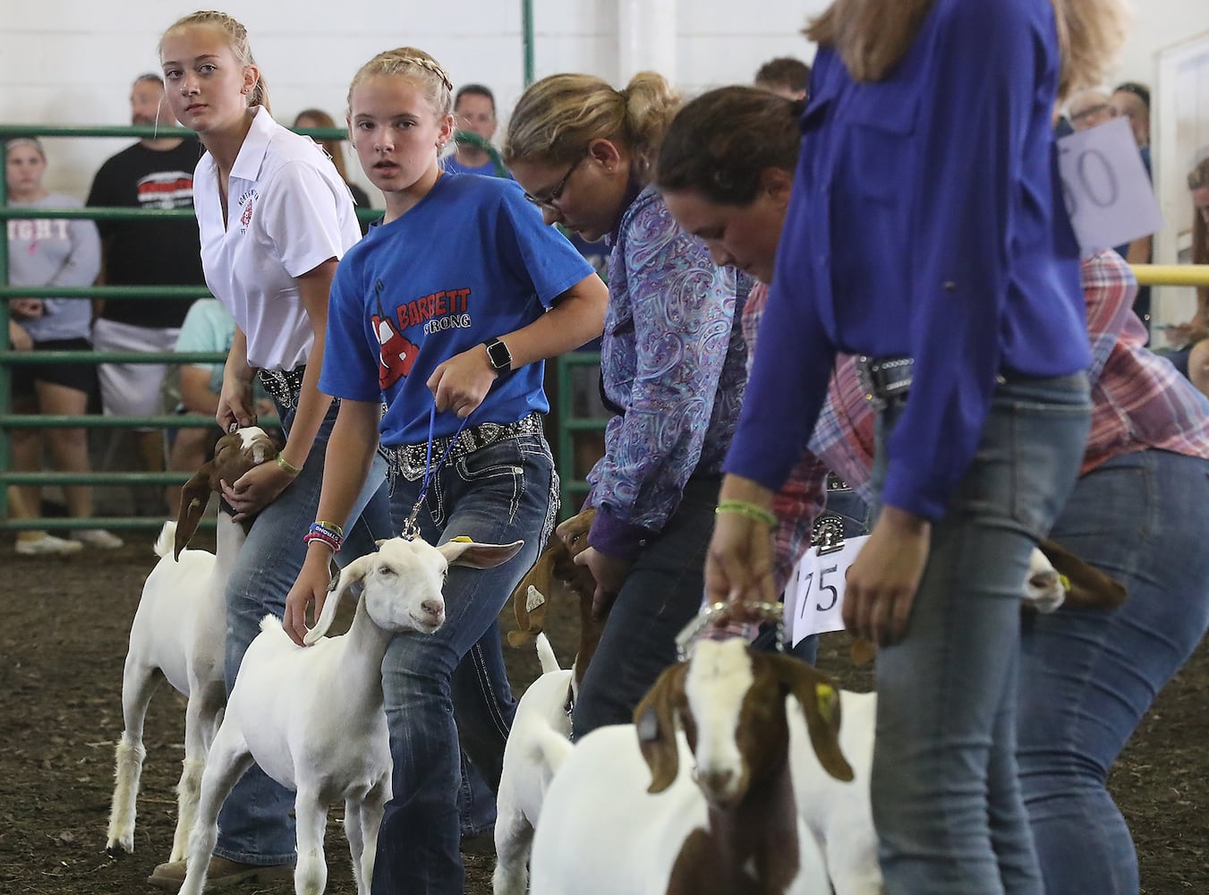 85 PHOTOS: 2019 Clark County Fair