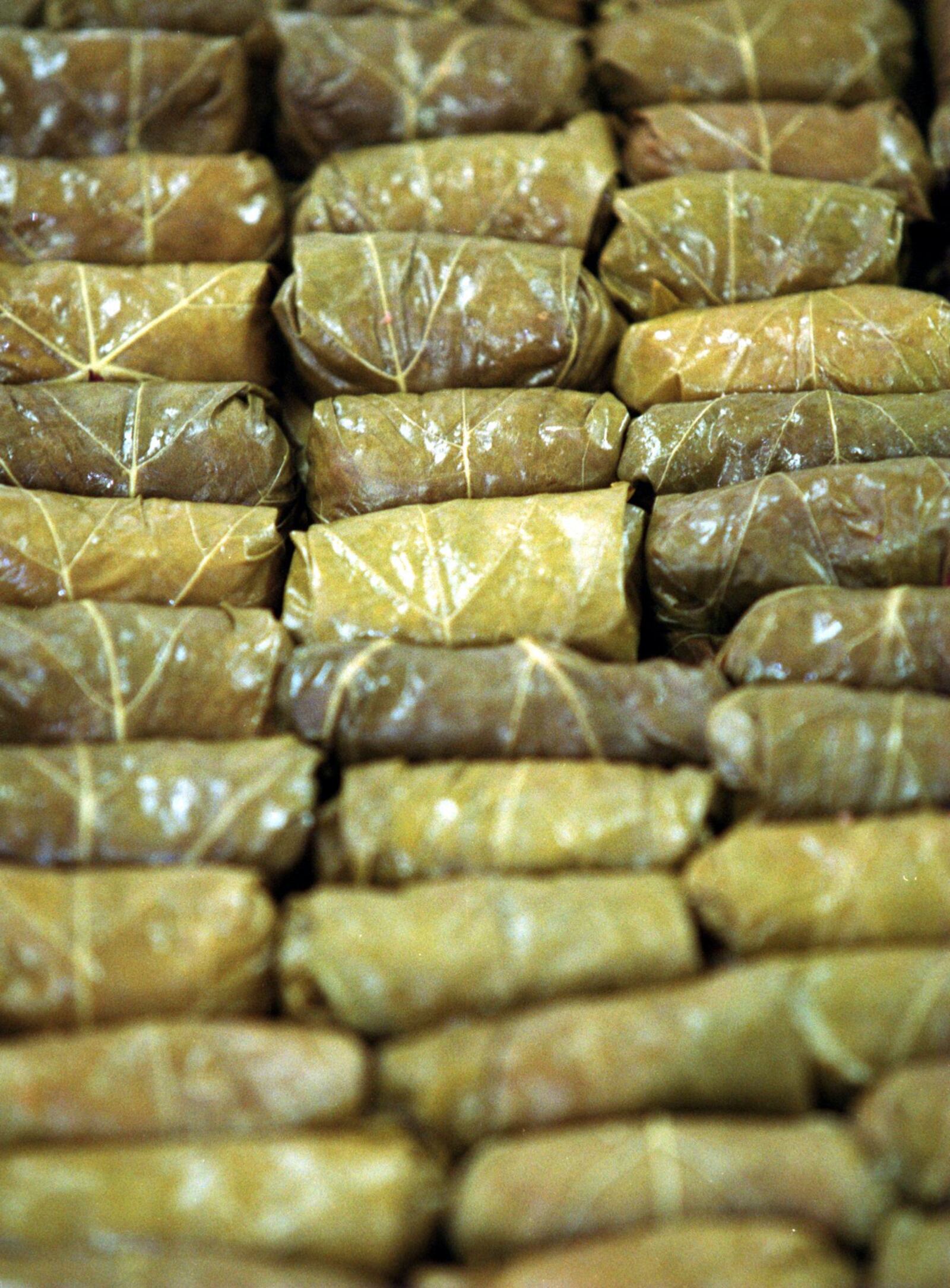 A detail of dolmathes for the Greek Festival.