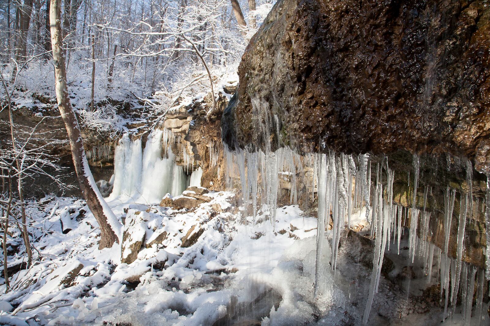 Wintertime hiking can be more peaceful during busier times of the year, more conducive to thoughtful time alone to reflect and above all, it’s nature’s simple, annual reminder that it’s okay to rest and recover.