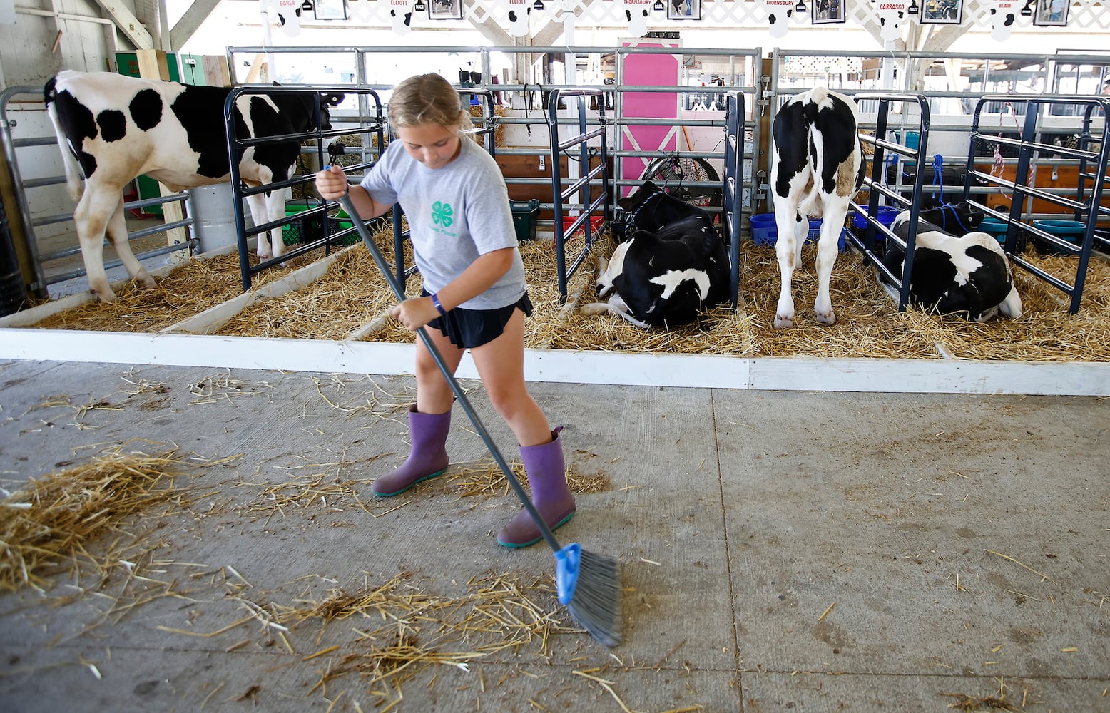 Clark County Fair SNS