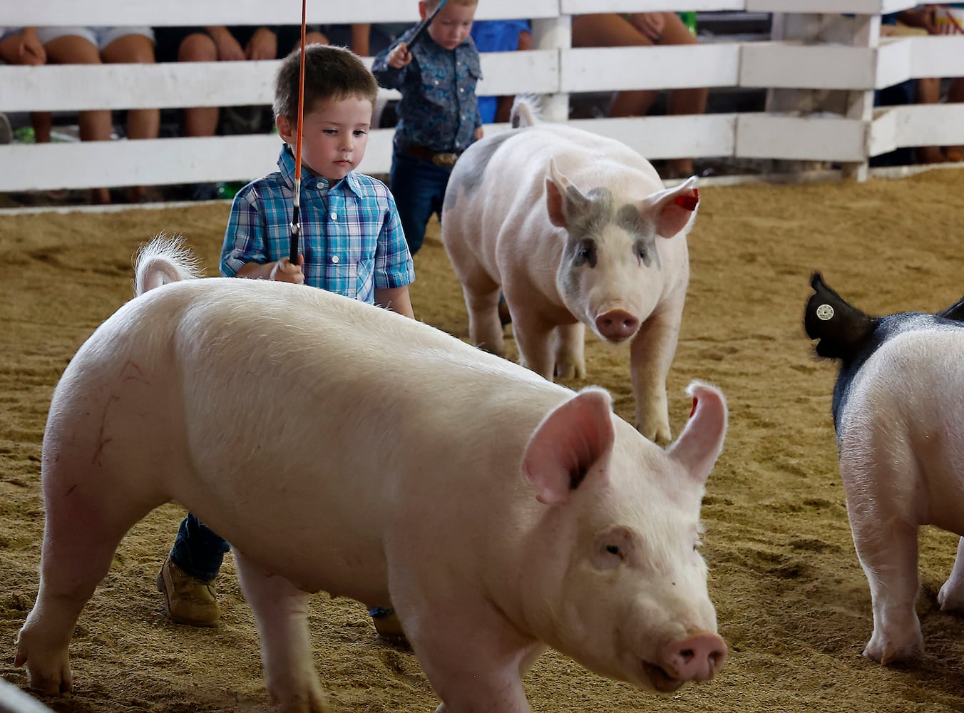 072823 Clark County Fair SNS