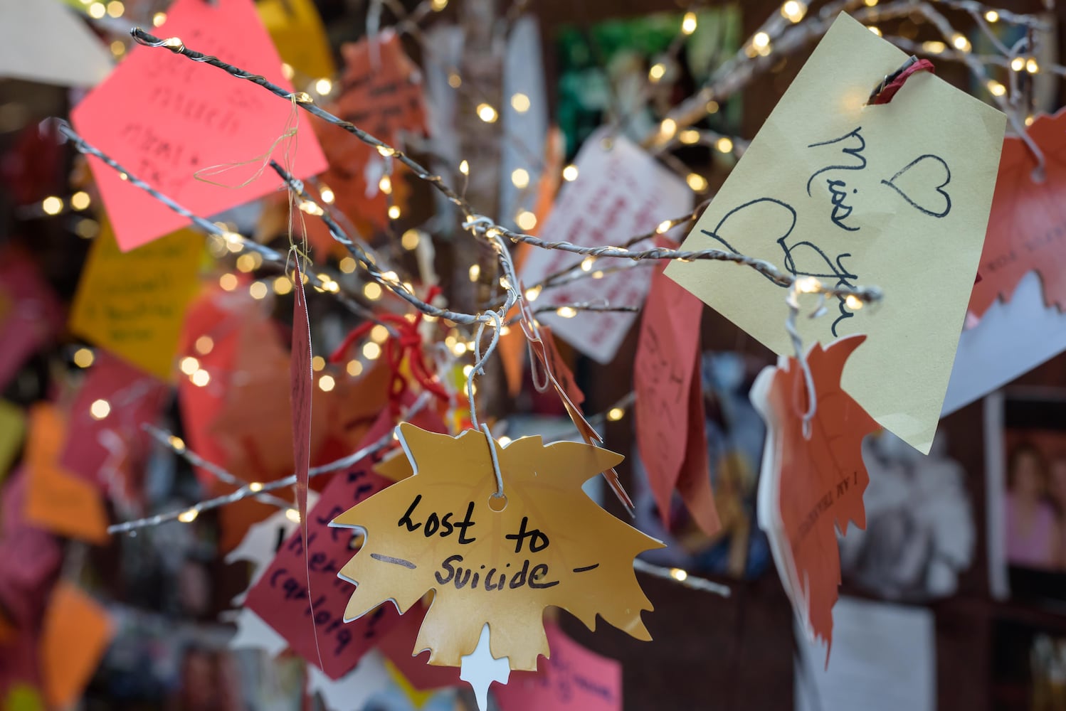 PHOTOS: 2024 Dayton Dia de los Muertos Celebration at Dayton Metro Library Main