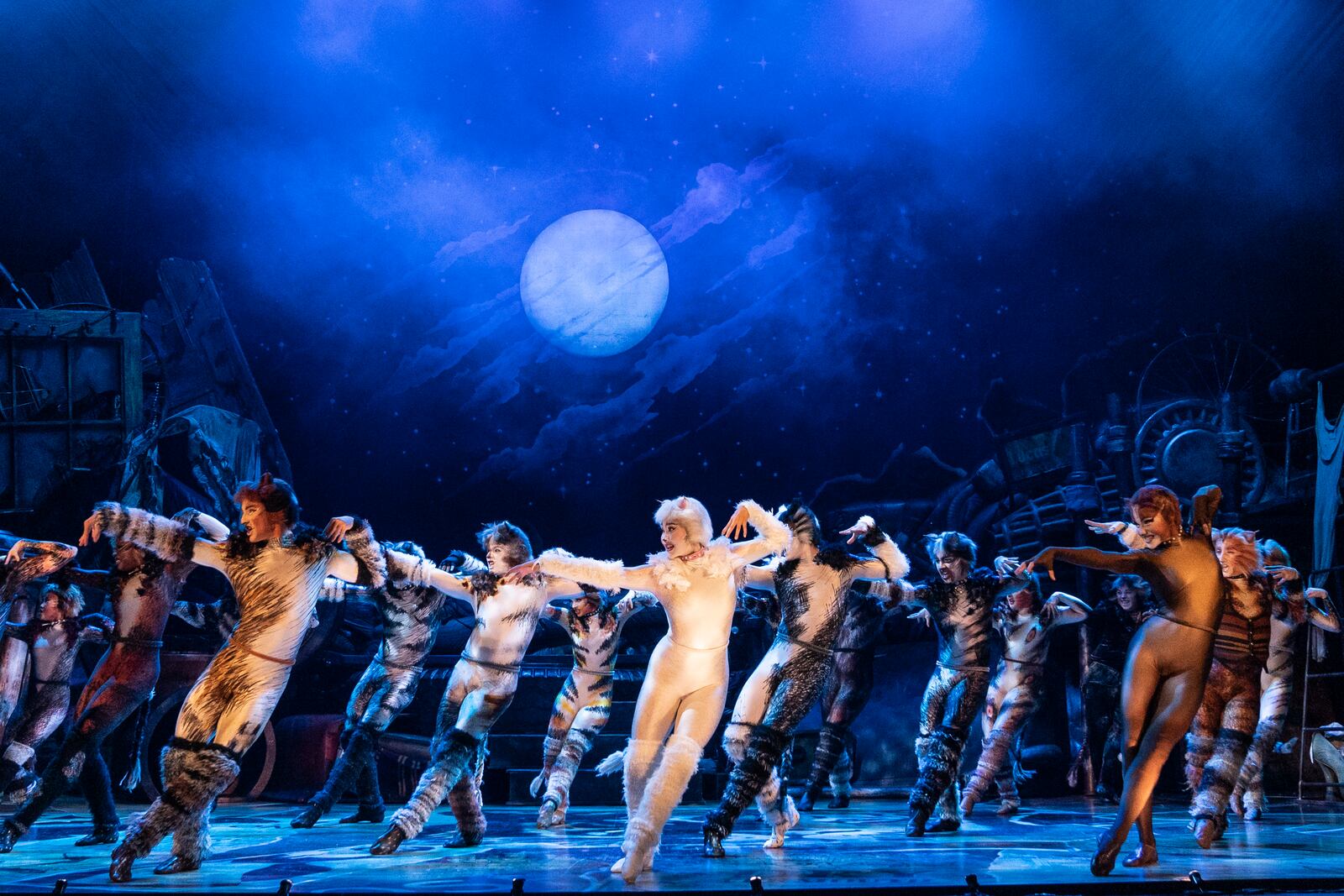 The cast of the national touring company of "CATS," which was presented by Dayton Live at the Schuster Center. CONTRIBUTED