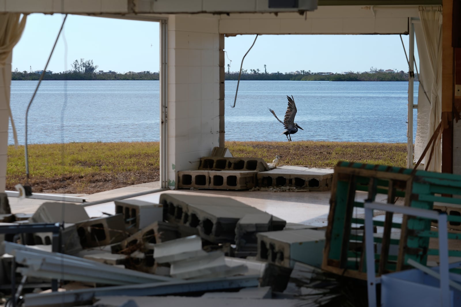 FILE - A pelican takes off, seen through the destroyed house that Osvaldo Cruz, who lives next door, was planning to turn into a rental property, in Grove City, Fla., following the passage of Hurricane Milton, Oct. 12, 2024. (AP Photo/Rebecca Blackwell, File)