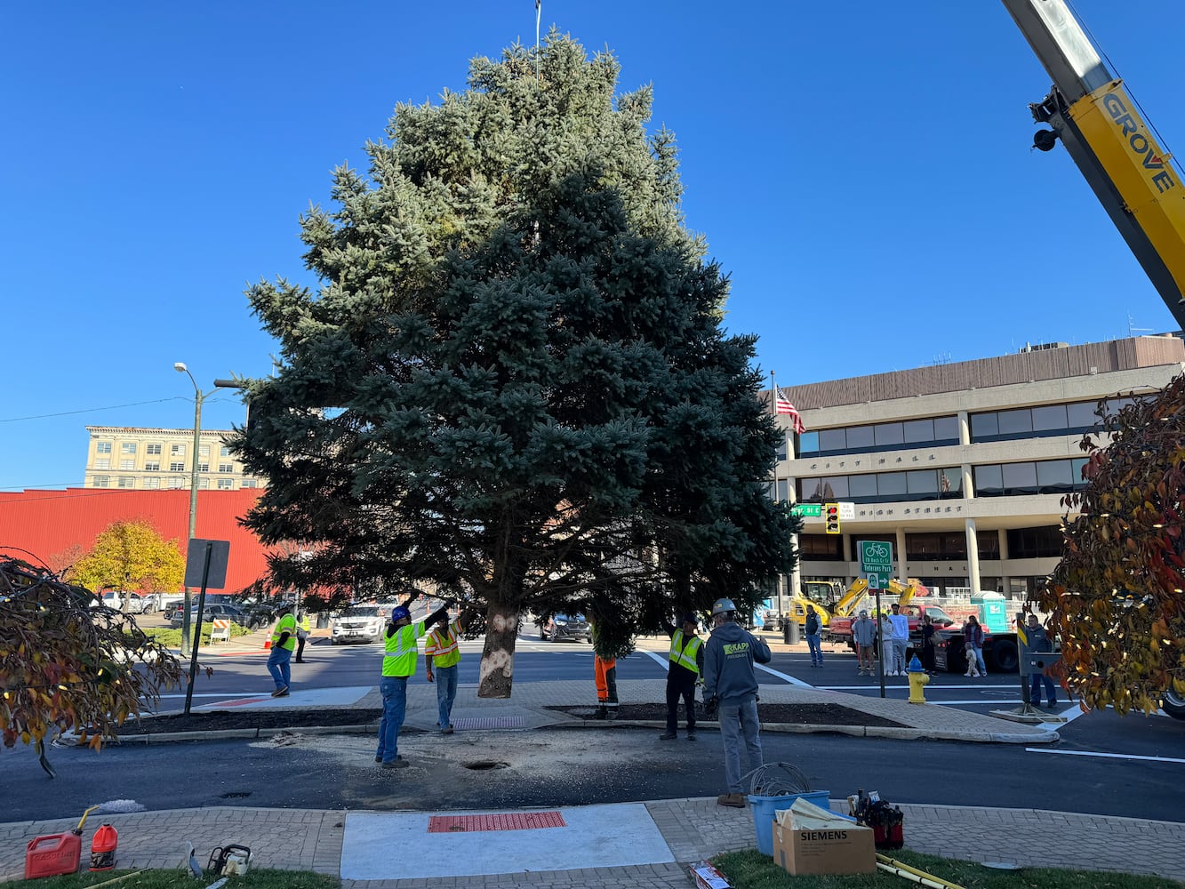 Holiday in the City Tree Arrival