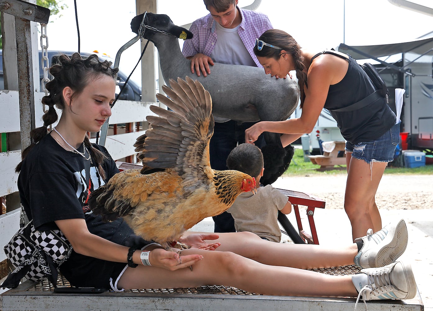 Best of the 2023 Clark County Fair