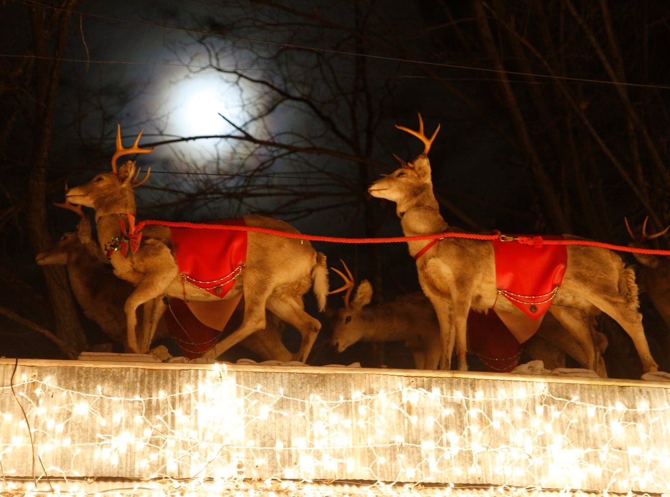 The Legendary Lights of Clifton Mill