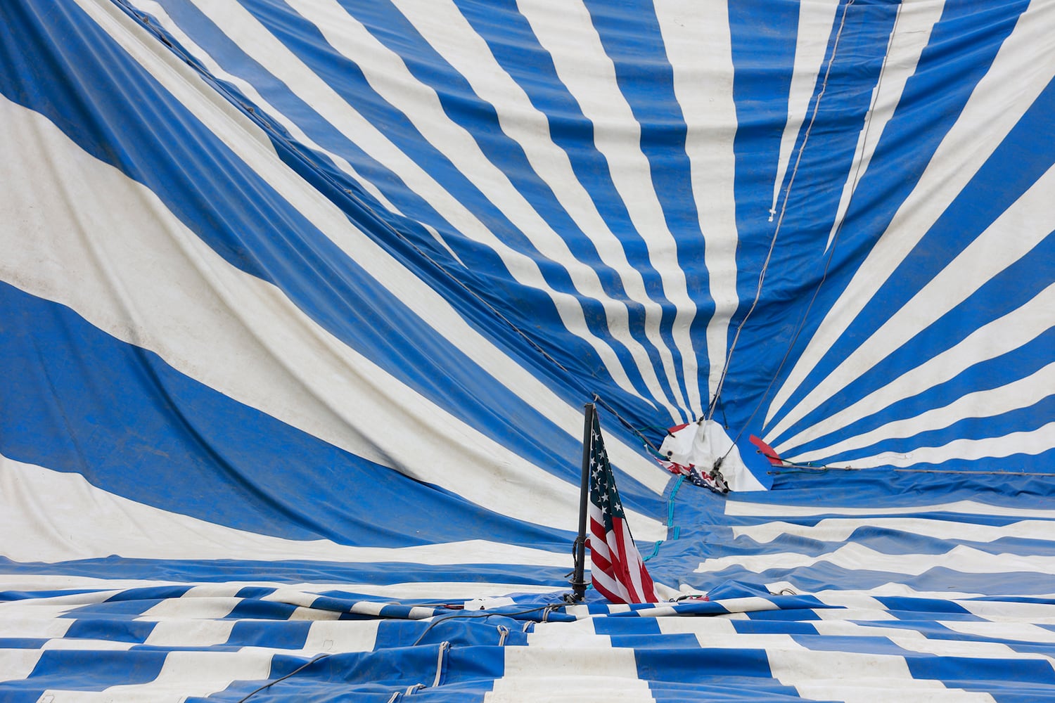 Circus Tent Raising SNS