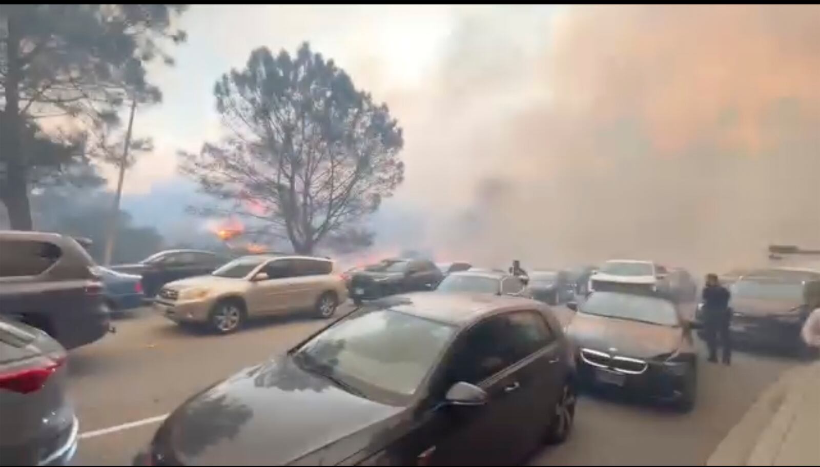 People evacuate their cars as flames from a wildfire spread to the street near Glenhaven, Calif., on Tuesday, Jan. 7, 2025. (Aaron Samson via AP)