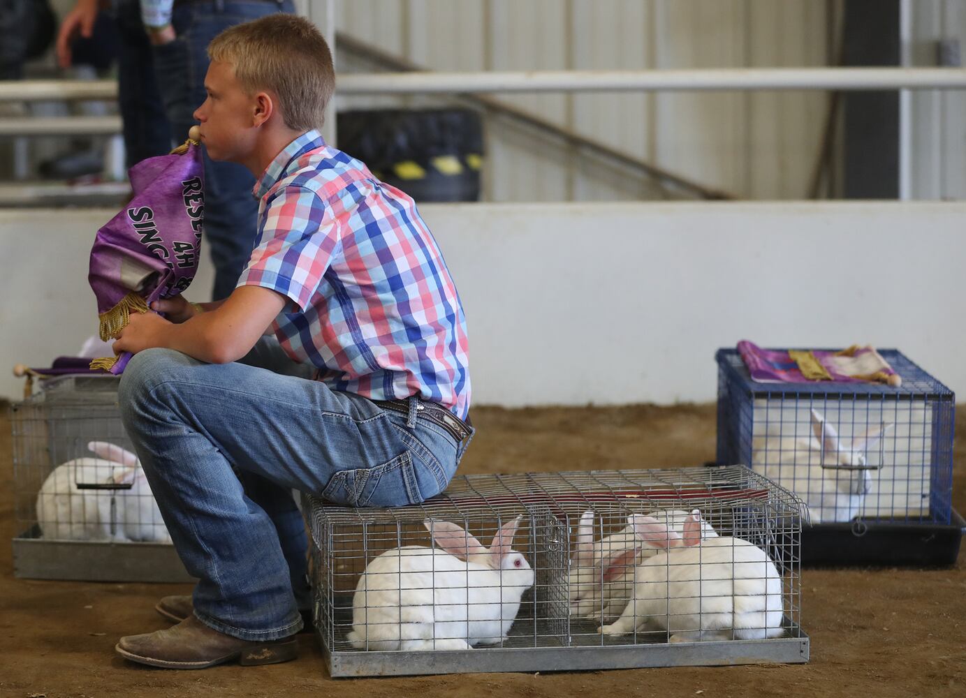 85 PHOTOS: 2019 Clark County Fair